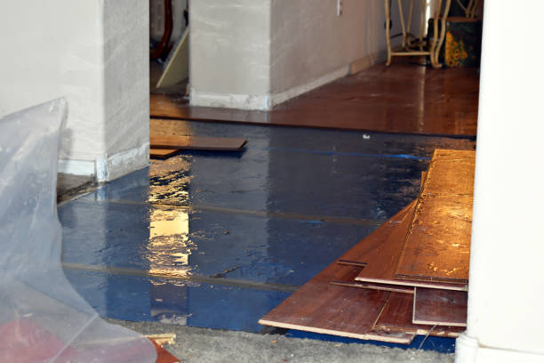 Professional Basement Flood Cleanup technician working in Clayton, IN